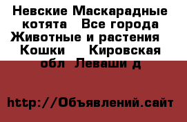 Невские Маскарадные котята - Все города Животные и растения » Кошки   . Кировская обл.,Леваши д.